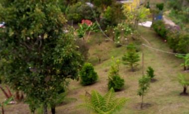 FINCA ASEQUIBLE PLANA E INCLINADA EN EL PEÑOL ANTIOQUIA COLOMBIA.