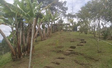 FINCA ASEQUIBLE PLANA E INCLINADA EN EL PEÑOL ANTIOQUIA COLOMBIA.
