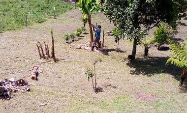 FINCA ASEQUIBLE PLANA E INCLINADA EN EL PEÑOL ANTIOQUIA COLOMBIA.