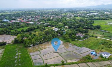 Land for Sale Lot size 11 rai in Doi Saket