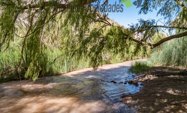Venta de centro turístico en el Valle del Elqui. $290 millones