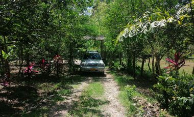 VENTA DE FINCA CARMEN DE APICALA - TOLIMA