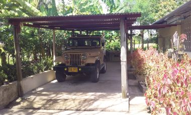 VENTA DE FINCA CARMEN DE APICALA - TOLIMA