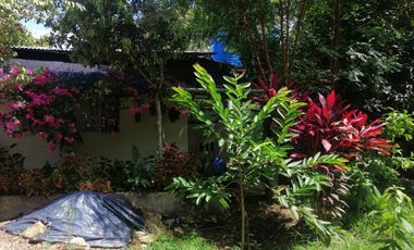 VENTA DE FINCA CARMEN DE APICALA - TOLIMA