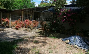 VENTA DE FINCA CARMEN DE APICALA - TOLIMA