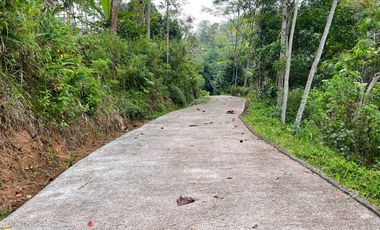 Dijual Tanah 2000m² Karangpandan Karanganyar