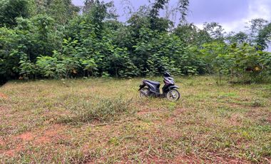 Dijual Tanah 2000m² Karangpandan Karanganyar