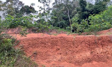 Dijual Tanah 2000m² Karangpandan Karanganyar