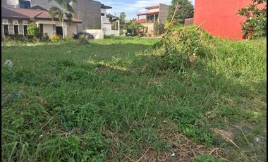 2 adjacent 100 sqm lots in Riverwalk Subd