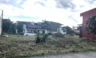 2 adjacent 100 sqm lots in Riverwalk Subd