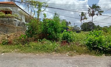 Freehold - Rare Opportunity Land in Strategic Location Seminyak