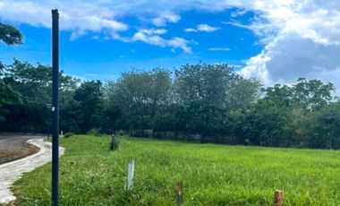RESIDENTIAL LOT FOR SALE IN AYALA GREENFIELD ESTATES
