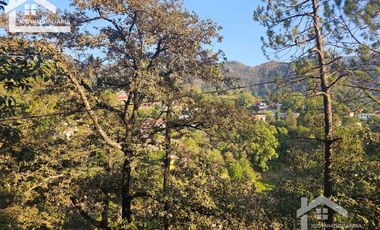 VENTA DE CABAÑA EN MINERAL DEL CHICO MUY CERCA DEL PUEBLO EN OBRA NEGRA