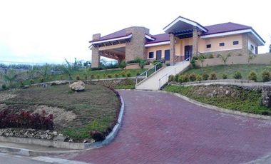 217 Residential lot for sale in Vista Verde Consolacion Cebu