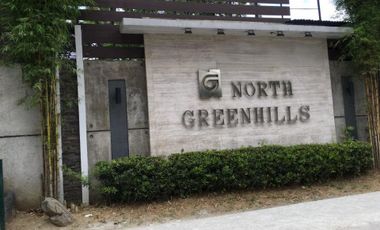 FOR SALE North Greenhills, Brgy. Greenhills, San Juan City Residential Vacant Lot