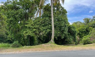 Leisure Farms | Residential Lot For Sale - #4789