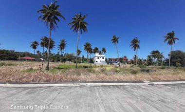 For Sale:  Residential Vacant Lot in Puerto Galera!
