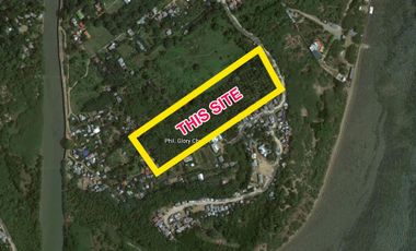 13,739 sqm Industrial Lot in South Poblacion, Naga City, Cebu