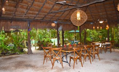 Terreno Ejidal en Venta con Cenote en Puerto Morelos