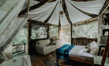 Terreno Ejidal en Venta con Cenote en Puerto Morelos