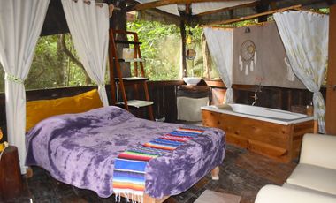 Terreno Ejidal en Venta con Cenote en Puerto Morelos