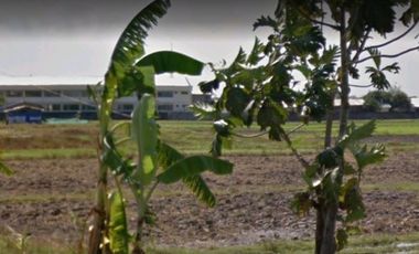 Lot for Sale in Dolores, Capas, Tarlac near McArthur Highway