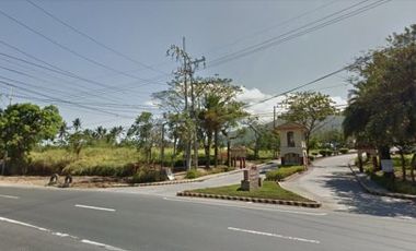 San Rafael Estates Residential Lot For Sale in Sto. Tomas Batangas Avida Ayala