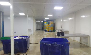 Empacadora de venta en Chanduy