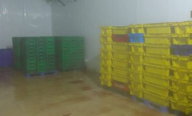 Empacadora de venta en Chanduy