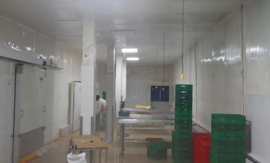 Empacadora de venta en Chanduy