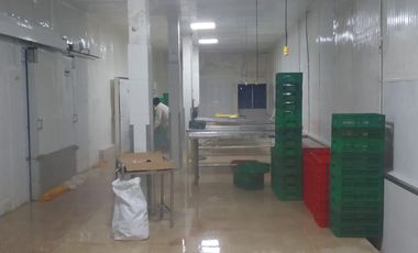 Empacadora de venta en Chanduy