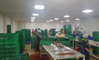 Empacadora de venta en Chanduy