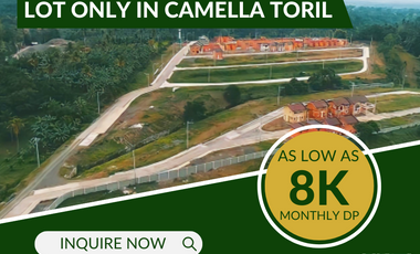 LOT ONLY IN CAMELLA TORIL