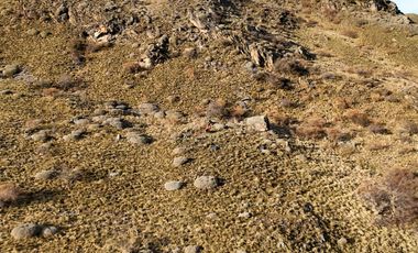 Lotes en venta cercano a confluencia Río Baker - Región De Aysen