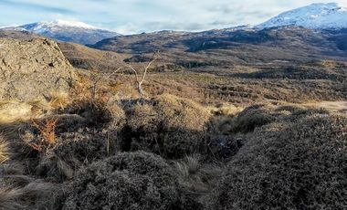 Lotes en venta cercano a confluencia Río Baker - Región De Aysen