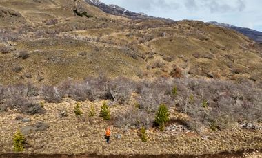 Lotes en venta cercano a confluencia Río Baker - Región De Aysen