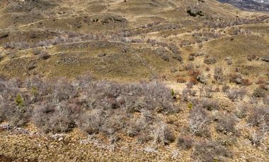 Lotes en venta cercano a confluencia Río Baker - Región De Aysen