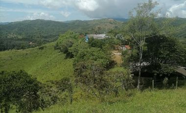Venta finca agrícola Yolombó Antioquia