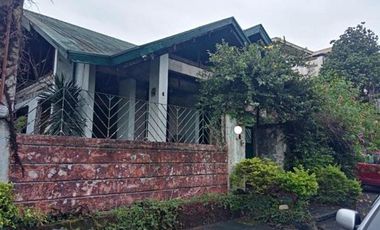 Delapidated House for Sale at Mira Nila Homes, Pasong Tamo, QC