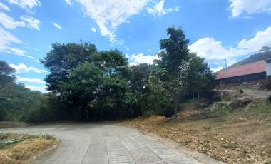 VENDO FINCA AGRÍCOLA