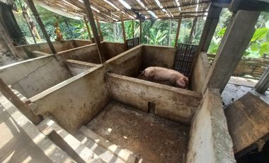 VENDO FINCA AGRÍCOLA