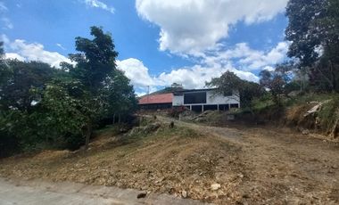 VENDO FINCA AGRÍCOLA