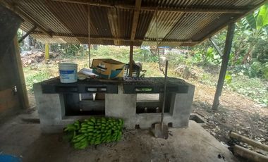 VENDO FINCA AGRÍCOLA
