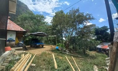 VENDO FINCA AGRÍCOLA