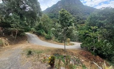 VENDO FINCA AGRÍCOLA
