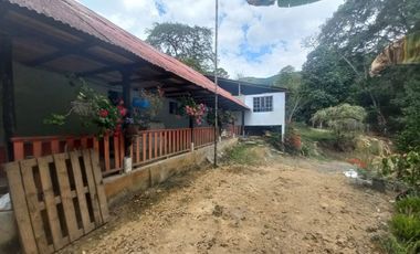VENDO FINCA AGRÍCOLA