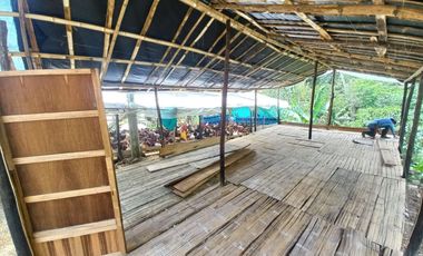 VENDO FINCA AGRÍCOLA