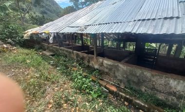 VENDO FINCA AGRÍCOLA