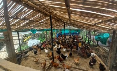 VENDO FINCA AGRÍCOLA