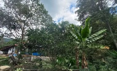 VENDO FINCA AGRÍCOLA
